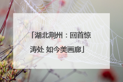 湖北荆州：回首惊涛处 如今美画廊