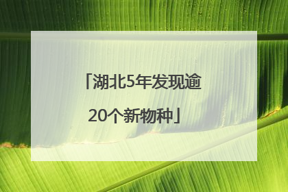 湖北5年发现逾20个新物种