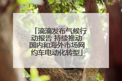 滴滴发布气候行动报告 持续推动国内和海外市场网约车电动化转型