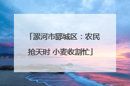 漯河市郾城区：农民抢天时 小麦收割忙