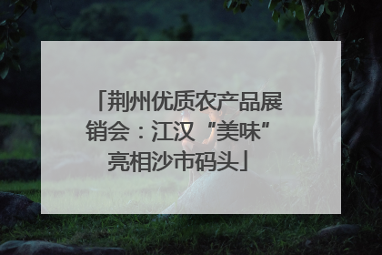 荆州优质农产品展销会：江汉“美味”亮相沙市码头