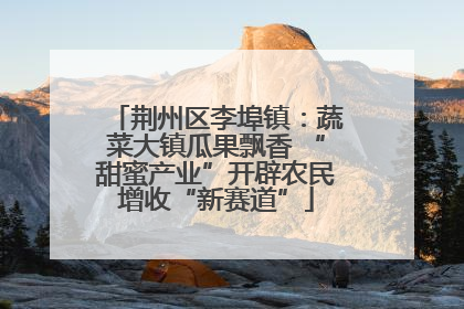 荆州区李埠镇：蔬菜大镇瓜果飘香 “甜蜜产业”开辟农民增收“新赛道”