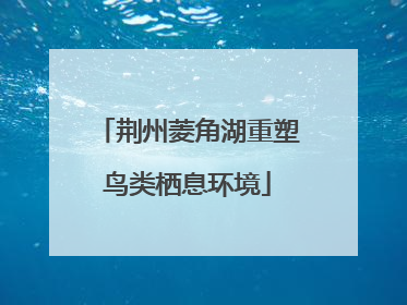 荆州菱角湖重塑鸟类栖息环境