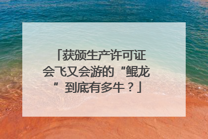 获颁生产许可证 会飞又会游的“鲲龙”到底有多牛？