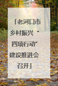 老河口市乡村振兴“四项行动”建设推进会召开