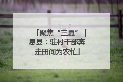 聚焦“三夏”｜息县：驻村干部奔走田间为农忙