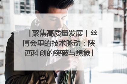 聚焦高质量发展丨丝博会里的技术脉动：陕西科创的突破与想象