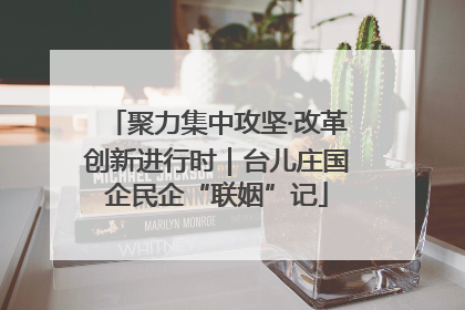 聚力集中攻坚·改革创新进行时｜台儿庄国企民企“联姻”记
