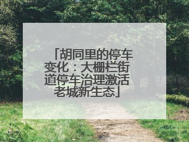 胡同里的停车变化：大栅栏街道停车治理激活老城新生态