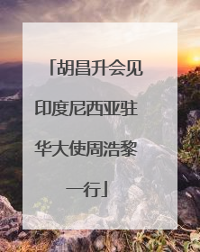 胡昌升会见印度尼西亚驻华大使周浩黎一行