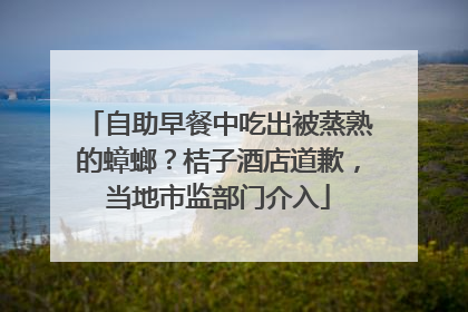 自助早餐中吃出被蒸熟的蟑螂？桔子酒店道歉，当地市监部门介入