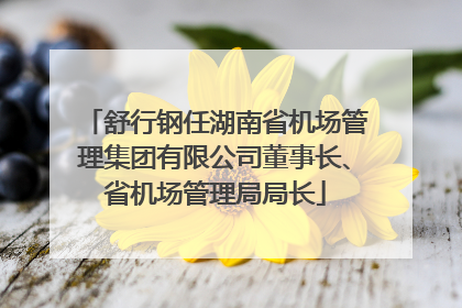 舒行钢任湖南省机场管理集团有限公司董事长、省机场管理局局长