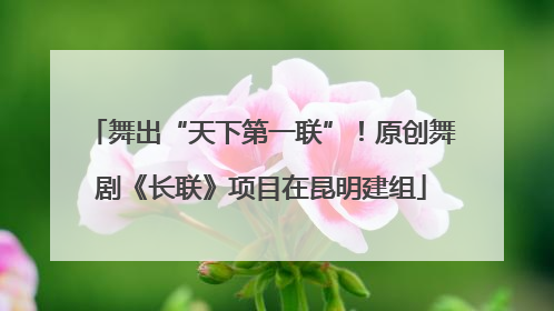 舞出“天下第一联”！原创舞剧《长联》项目在昆明建组