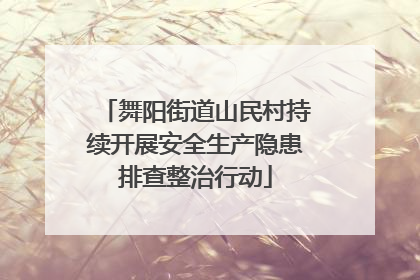 舞阳街道山民村持续开展安全生产隐患排查整治行动
