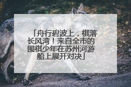 舟行碧波上，棋落长风湾！来自全市的围棋少年在苏州河游船上展开对决