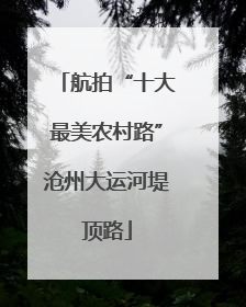 航拍“十大最美农村路”沧州大运河堤顶路