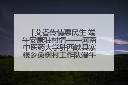 艾香传情惠民生 端午安康驻村情——河南中医药大学驻西峡县寨根乡桑树村工作队端午中医惠民记