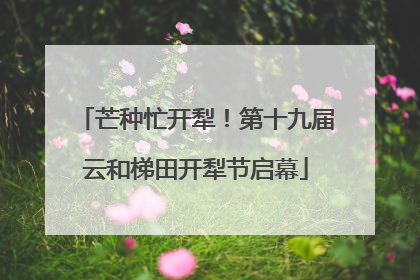 芒种忙开犁！第十九届云和梯田开犁节启幕