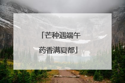 芒种遇端午 药香满夏都