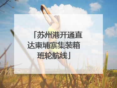 苏州港开通直达柬埔寨集装箱班轮航线