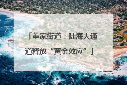 董家街道：陆海大通道释放“黄金效应”