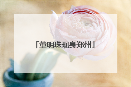 董明珠现身郑州
