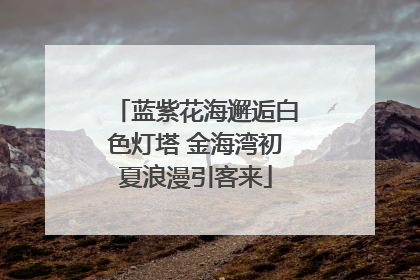 蓝紫花海邂逅白色灯塔 金海湾初夏浪漫引客来