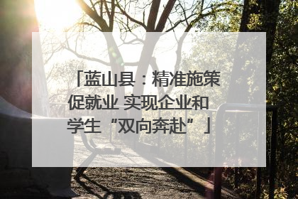 蓝山县：精准施策促就业 实现企业和学生“双向奔赴”