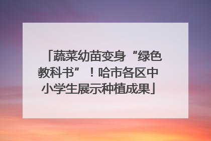 蔬菜幼苗变身“绿色教科书”！哈市各区中小学生展示种植成果