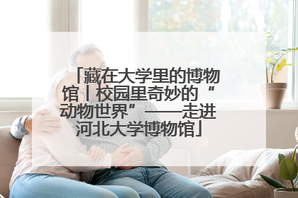藏在大学里的博物馆丨校园里奇妙的“动物世界”——走进河北大学博物馆