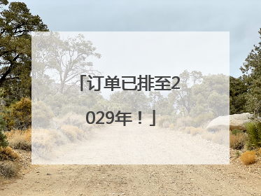 订单已排至2029年！