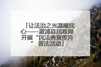让法治之光温暖民心——溆浦县民政局开展“民法典宣传月” 普法活动