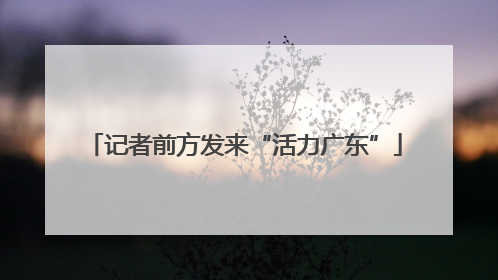 记者前方发来“活力广东”