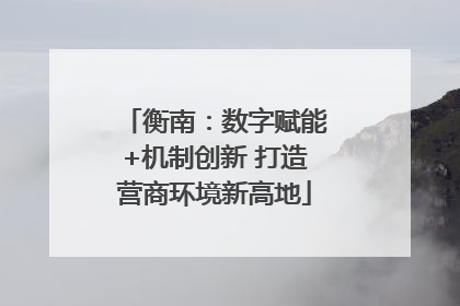 衡南：数字赋能+机制创新 打造营商环境新高地