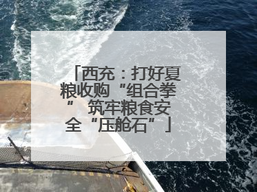 西充：打好夏粮收购“组合拳” 筑牢粮食安全“压舱石”