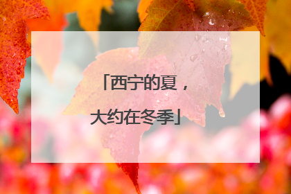 西宁的夏，大约在冬季