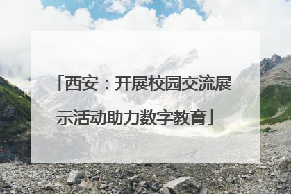 西安：开展校园交流展示活动助力数字教育