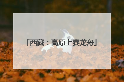 西藏：高原上赛龙舟