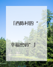 西陈村的“幸福密码”