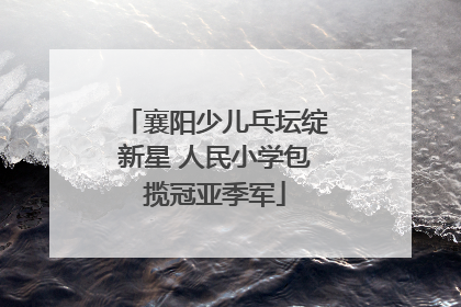 襄阳少儿乓坛绽新星 人民小学包揽冠亚季军