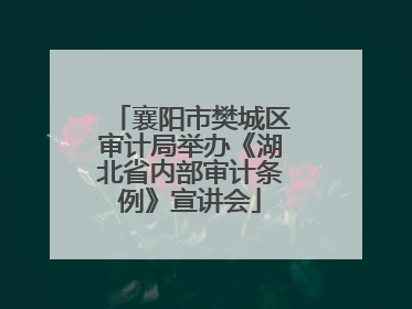 襄阳市樊城区审计局举办《湖北省内部审计条例》宣讲会