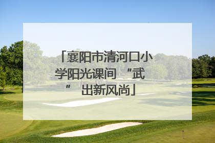 襄阳市清河口小学阳光课间 “武” 出新风尚