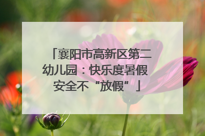 襄阳市高新区第二幼儿园：快乐度暑假 安全不“放假”