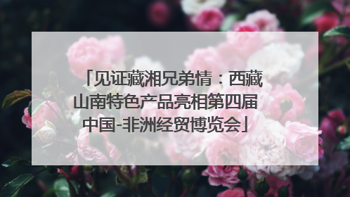 见证藏湘兄弟情：西藏山南特色产品亮相第四届中国-非洲经贸博览会