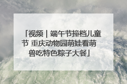 视频｜端午节撞档儿童节 重庆动物园萌娃看萌兽吃特色粽子大餐
