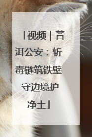 视频｜普洱公安：斩毒链筑铁壁 守边境护净土