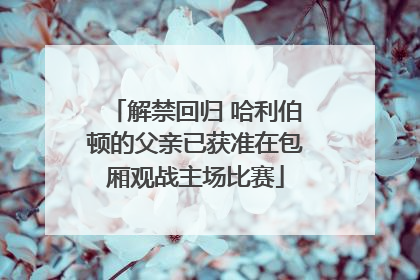 解禁回归 哈利伯顿的父亲已获准在包厢观战主场比赛