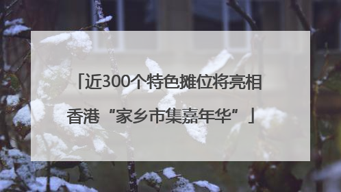 近300个特色摊位将亮相香港“家乡市集嘉年华”