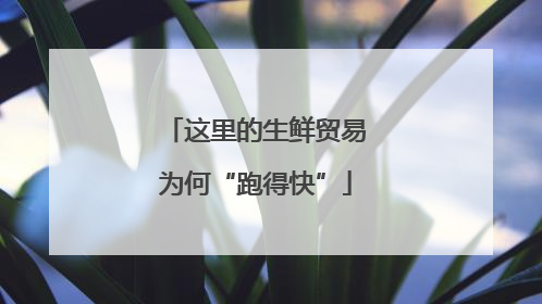 这里的生鲜贸易为何“跑得快”