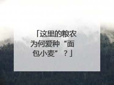 这里的粮农为何爱种“面包小麦”？
